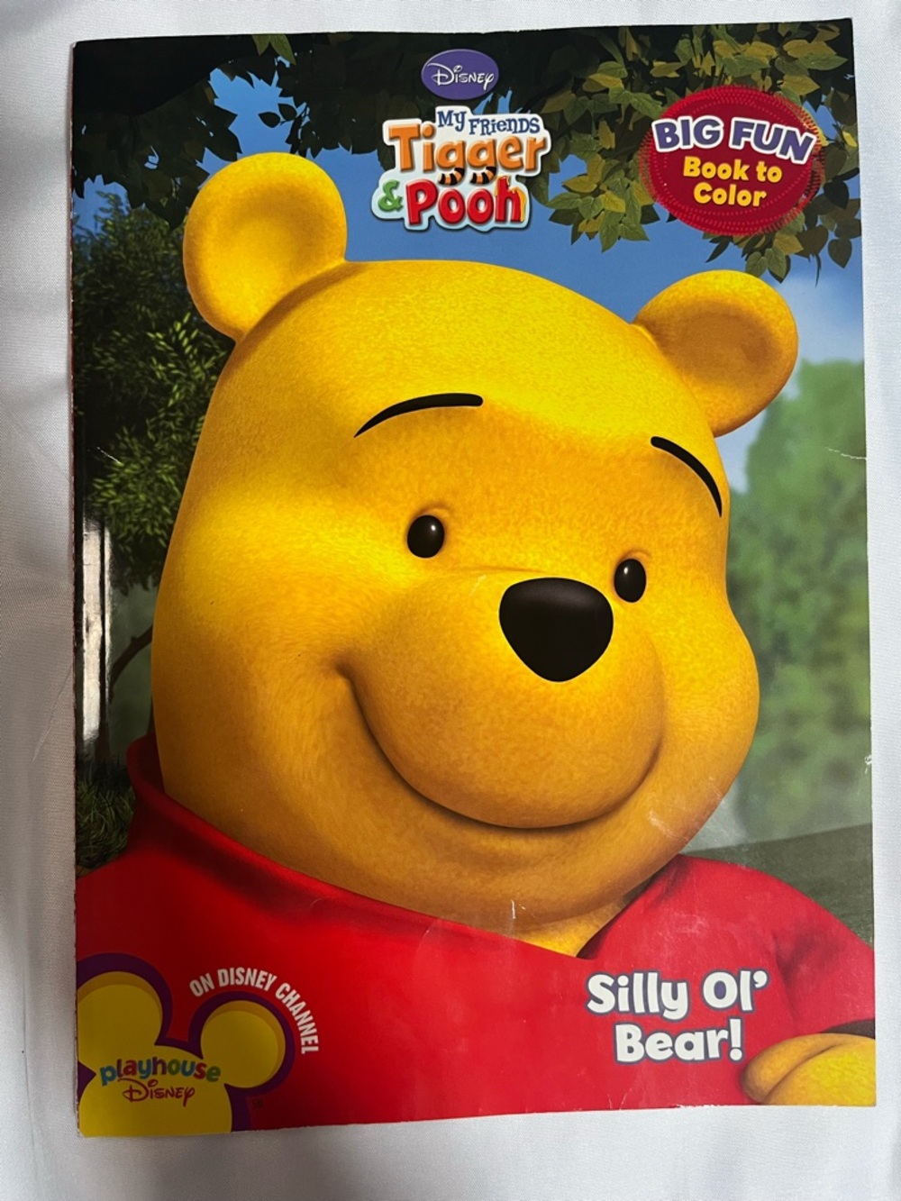 2009 My Friends‎ Tigger & Pooh Coloring Book Silly Ol Bear Disney Kids